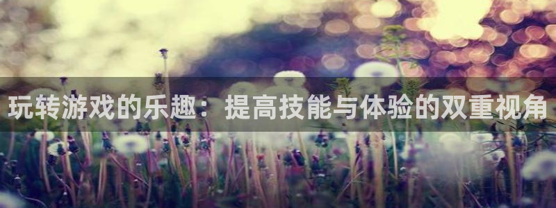 一竞技官方网站入口