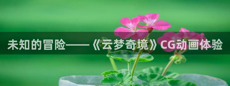 一竞技app下载官方版
