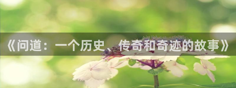 一竞技测速