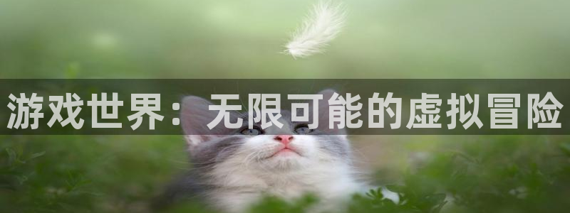 一竞技app下载官方版