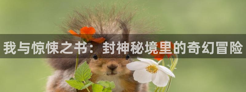 一竞技官网下载安装