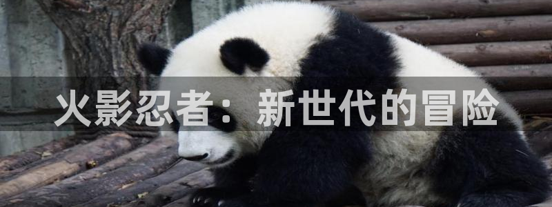 一竞技官网APP下载：火影忍者：新世代的冒险